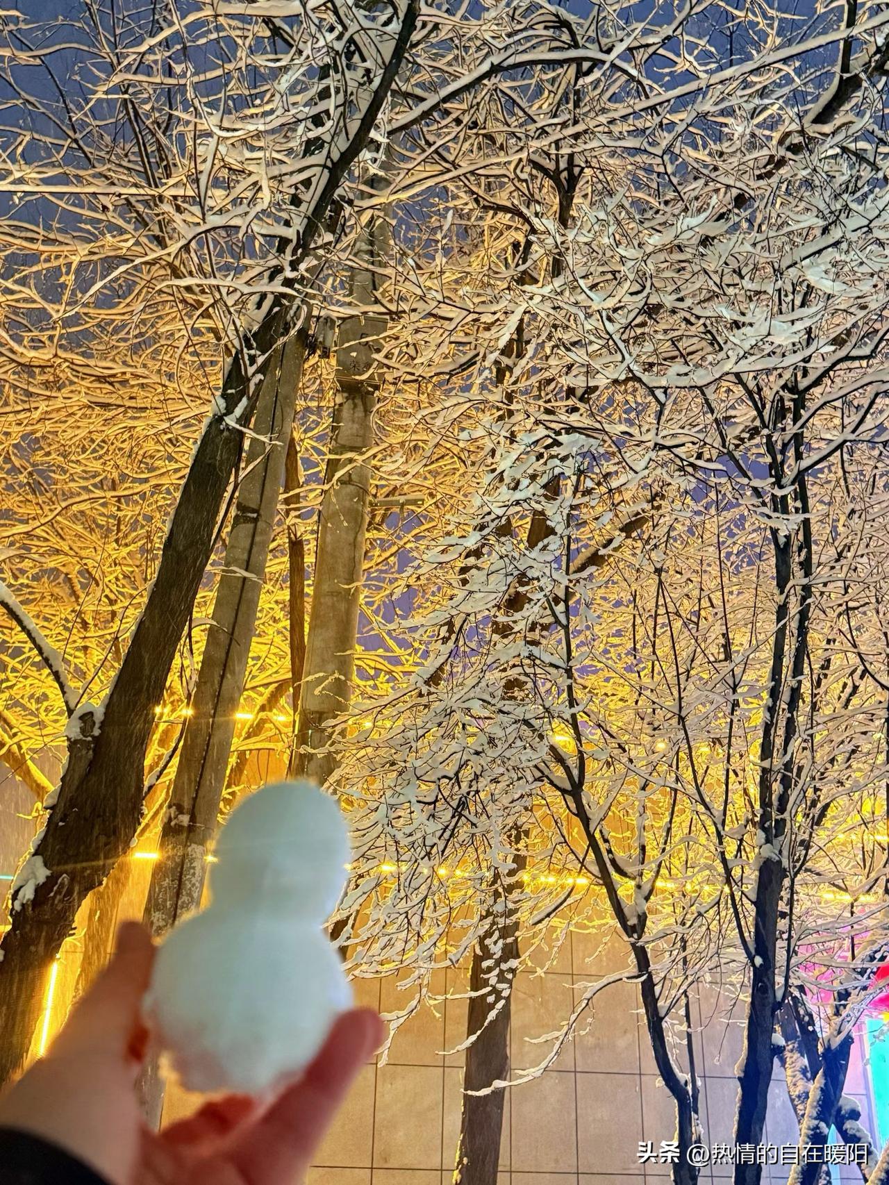 一睁眼，就瞧见朋友圈全是“雪”啦！老话说“正月雪打灯，八月粮满仓”。石家庄这场瑞