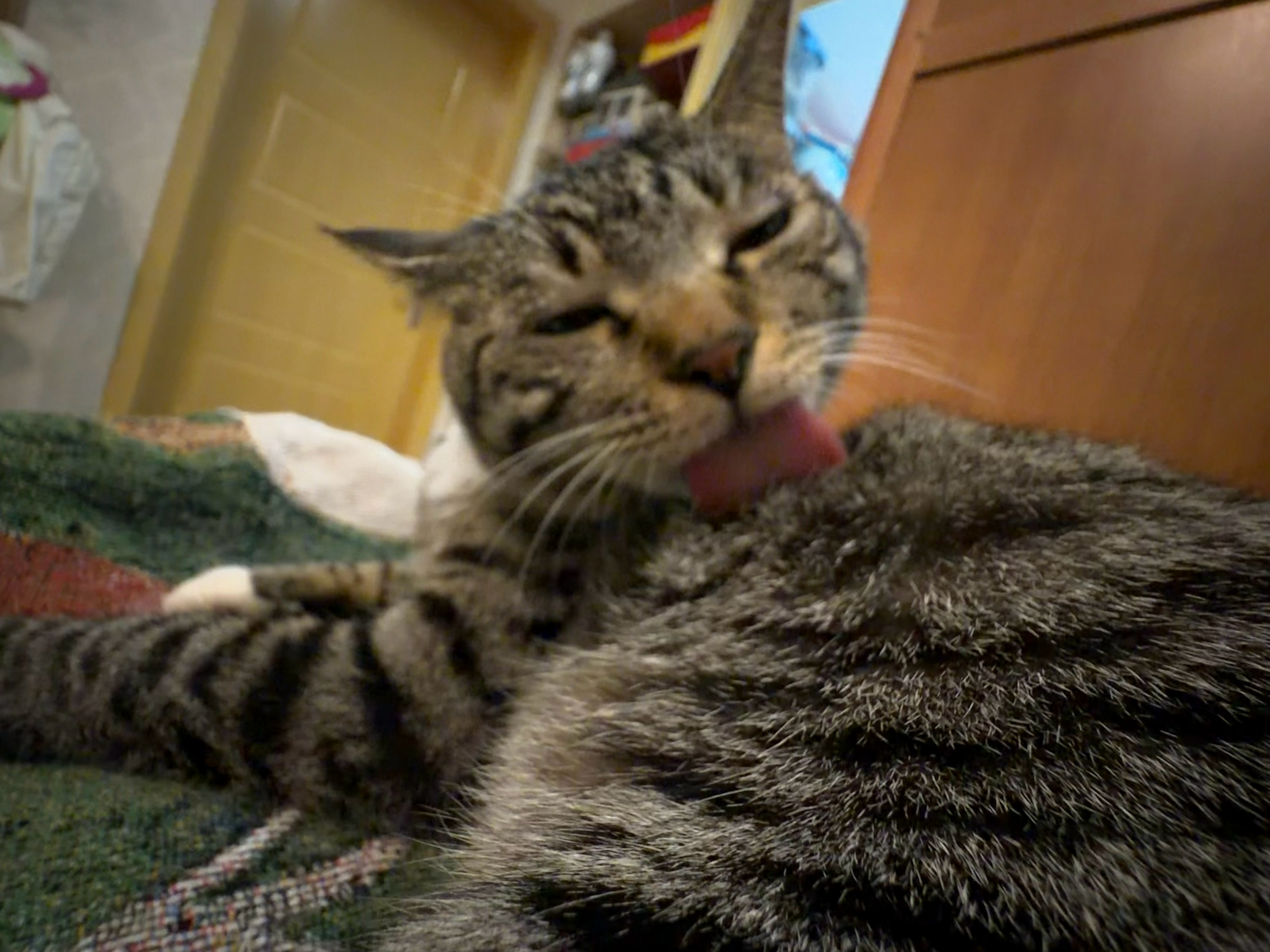 舔 