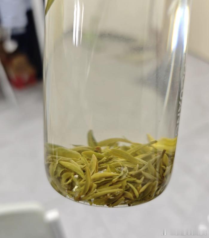打扫干净的农家小院。顺便喝点信阳毛尖，自家的茶叶。信阳毛尖绿茶 ​​​