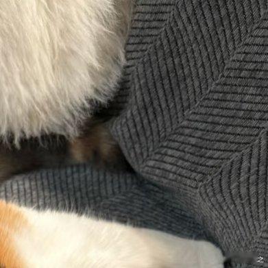 好闺咪就这样，养了两只小女儿 