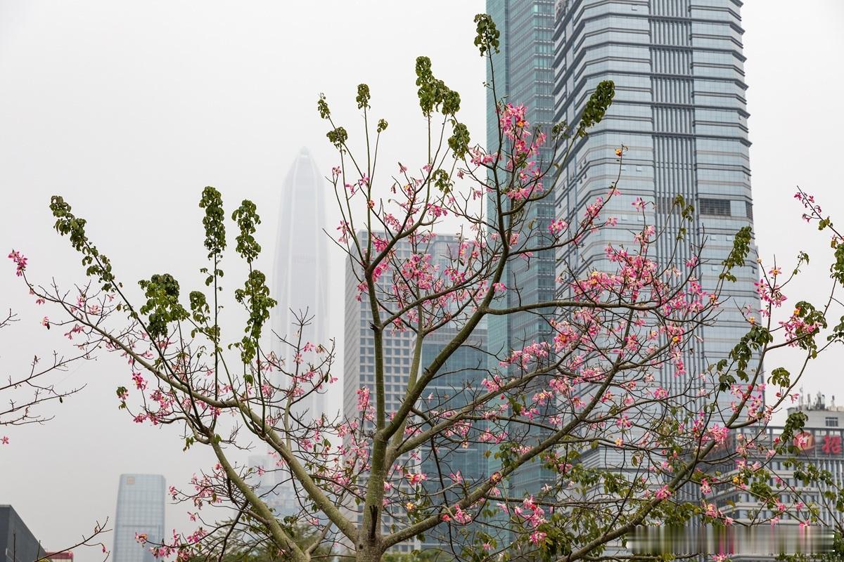 创服智达杨军为北清EMBA企业家们讲完课深刻感受到——很多企业不是缺机会，而是缺