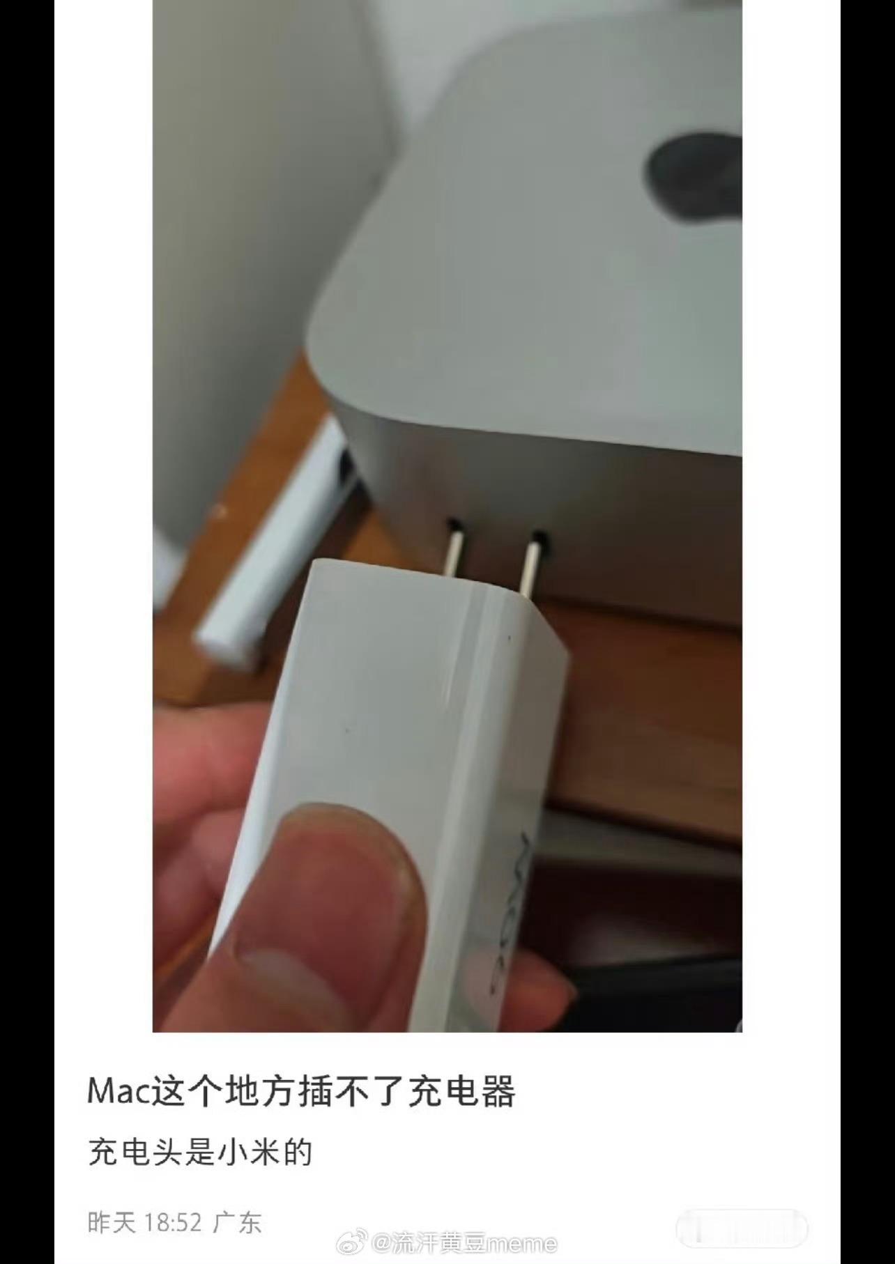 我求你了能不能别这么蠢 