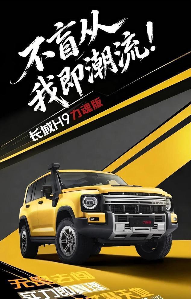 哈弗 H9 的新增车型，跟店里的普通版本摆在一起对比，感受还是算直观的，算不上颠