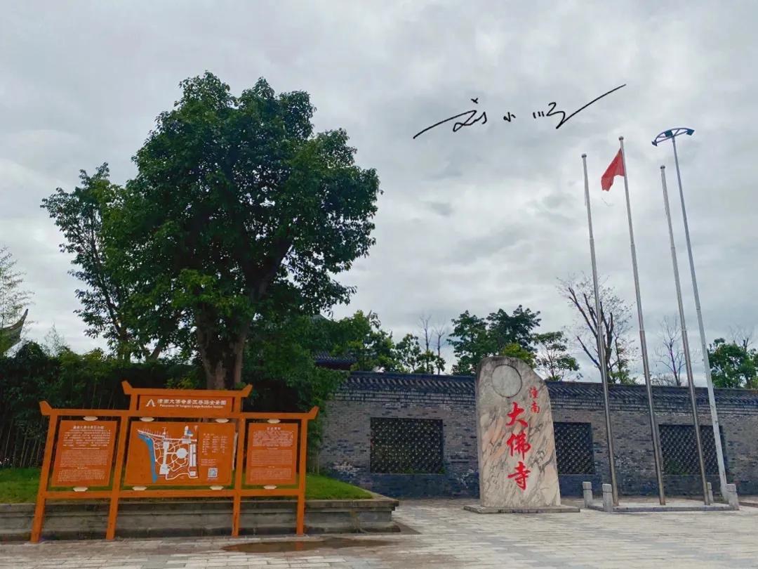 世界第一室内金佛，就在重庆潼南区，与乐山大佛齐名，游客却不多？

这里是刘小顺的