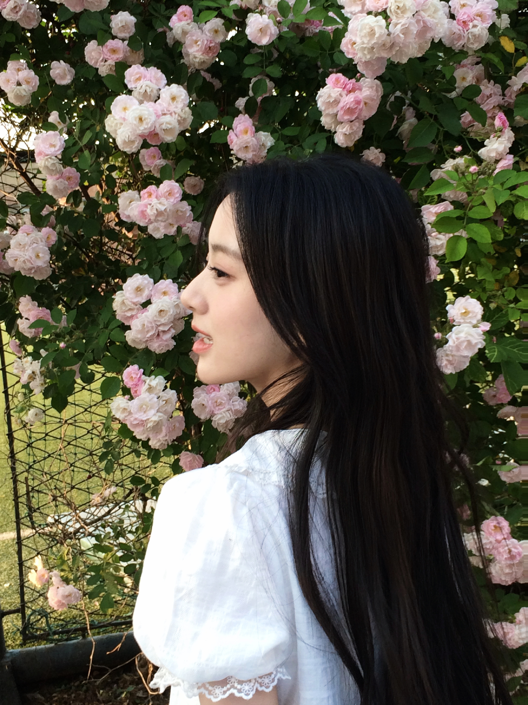 包上恩 bse包上恩李瑶英bse包上恩月明千里当世界凉如荒岛 我们依然会是彼此的
