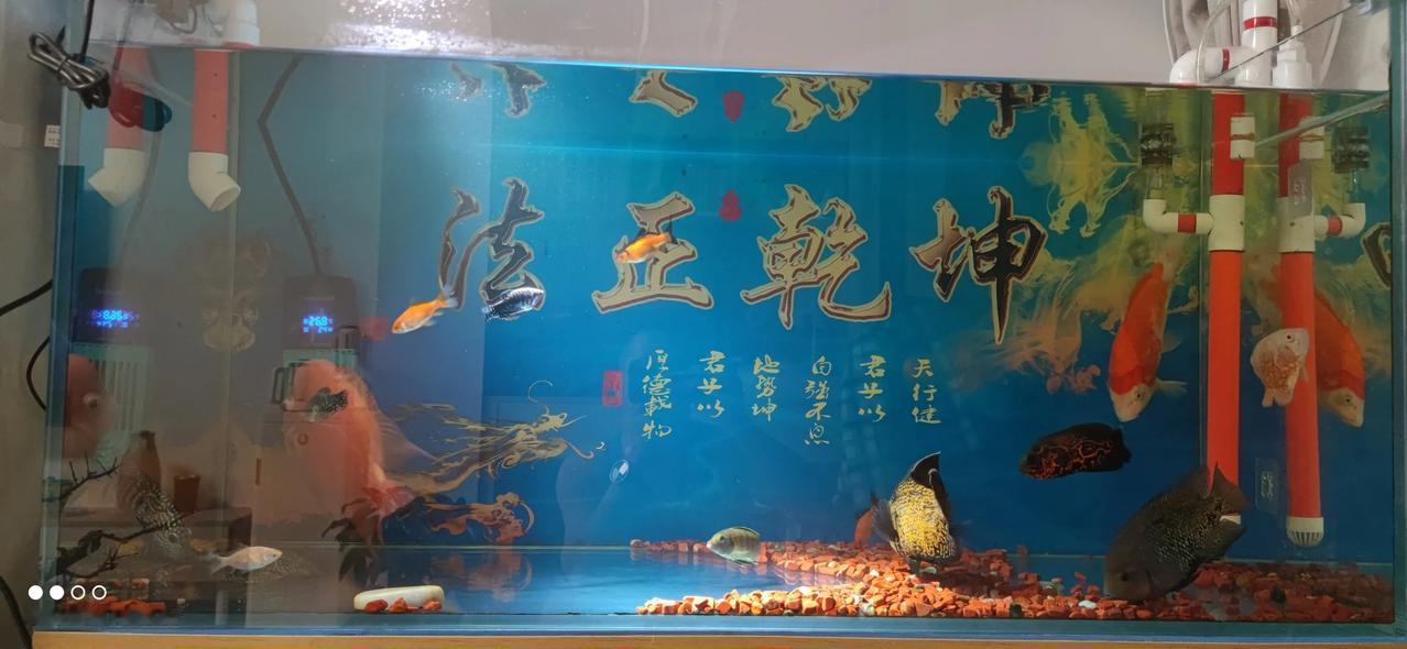 实习律师第168天
        情绪已经进入到过年的状态了，但脑子和身体还很