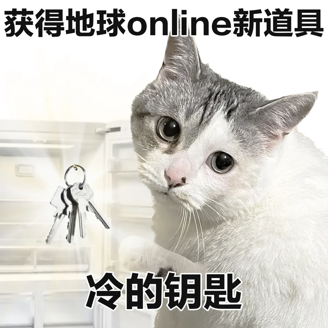 表情包 | 这么冷，这对吗
