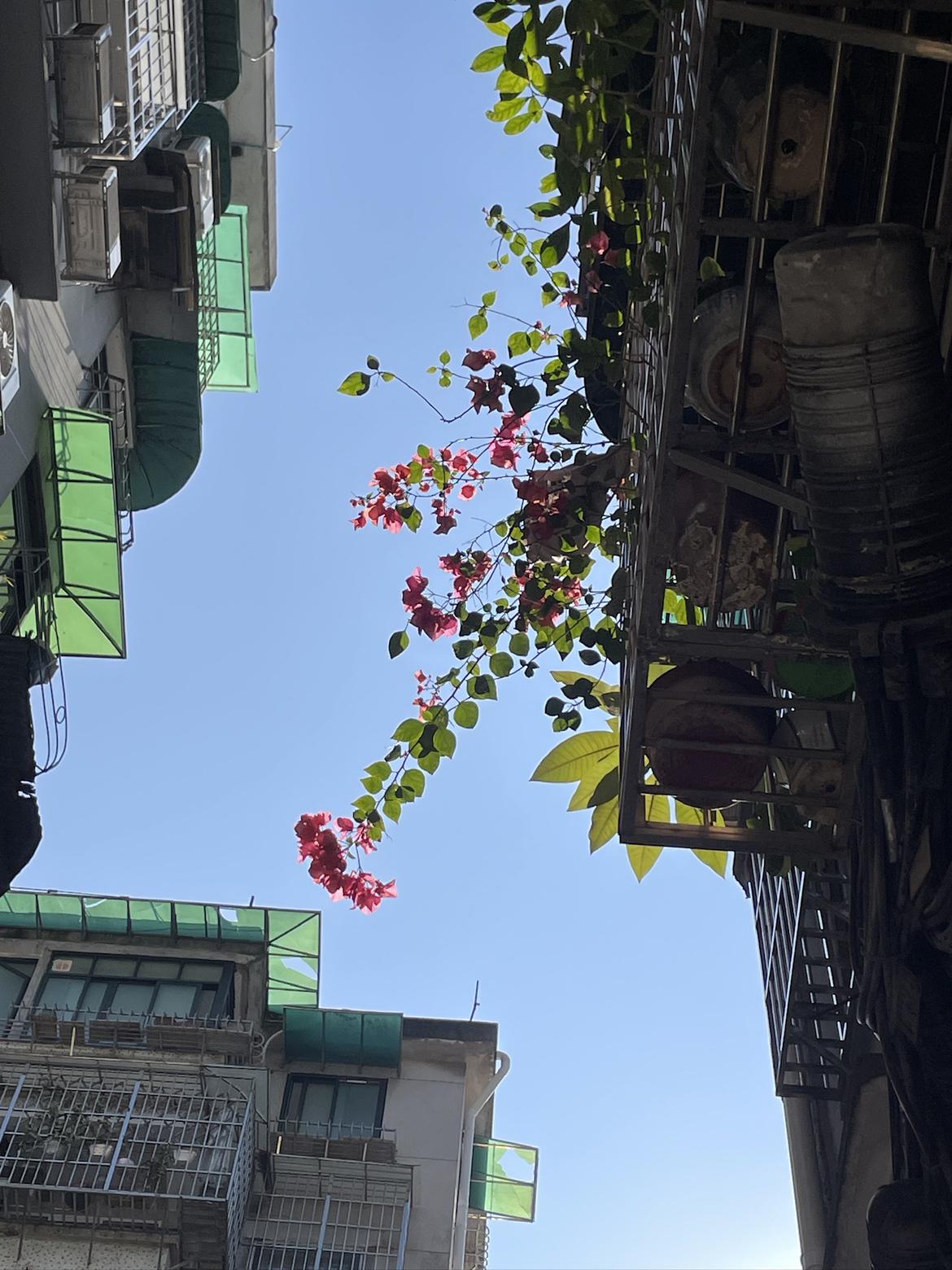 我的今日状态：😁轻松愉快
我这里的天气：🌤️多云