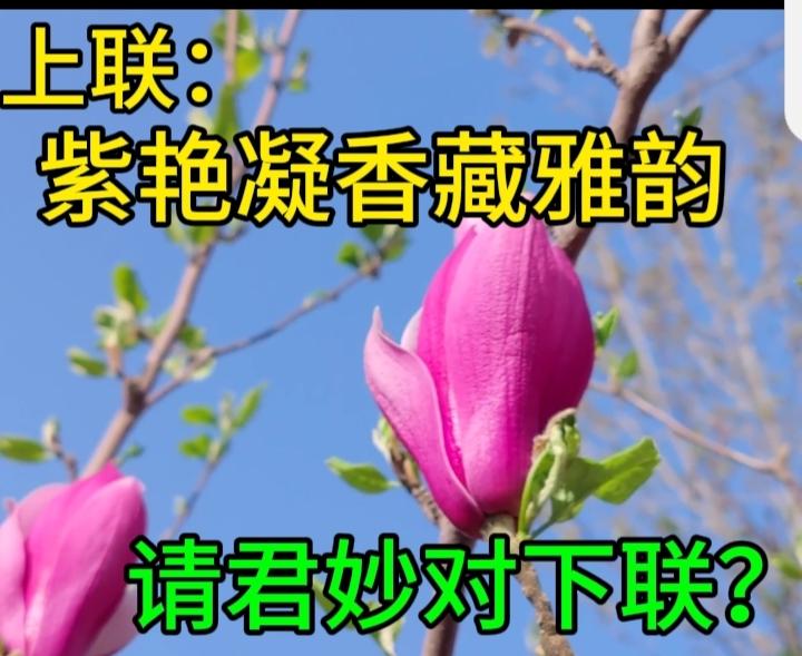 下联：鸟语花香气象新
横批：春和景明