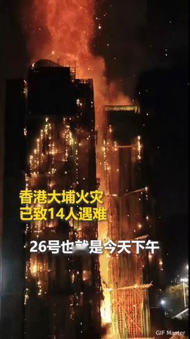 香港大埔火灾致14人遇难！那夜的火光，藏着多少心碎与坚守
 
当香港大埔宏福苑的