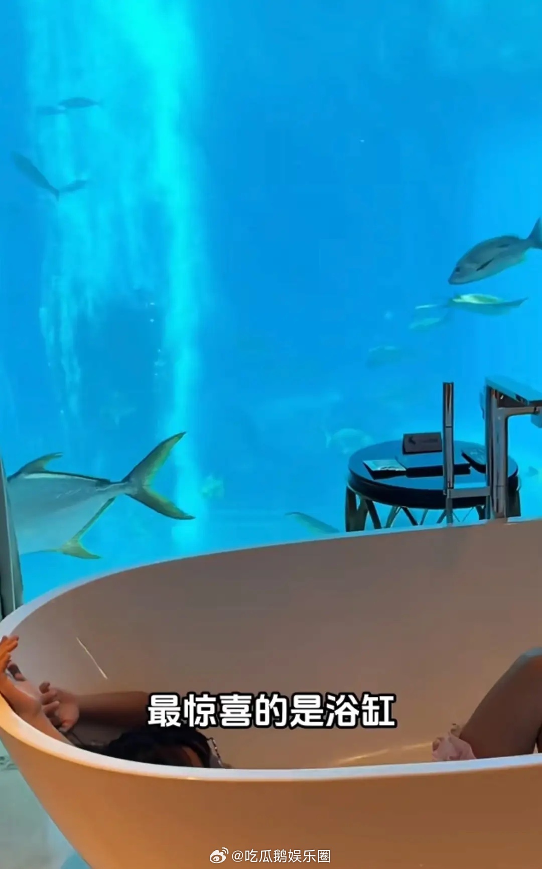 伊能静带公婆女儿探班秦昊，住10万一晚海底套房，很会讨长辈欢心 ​​​