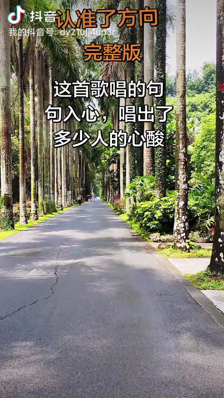 认准了方向完整版。
这首歌唱的句句入心，唱出了多少人的心酸。