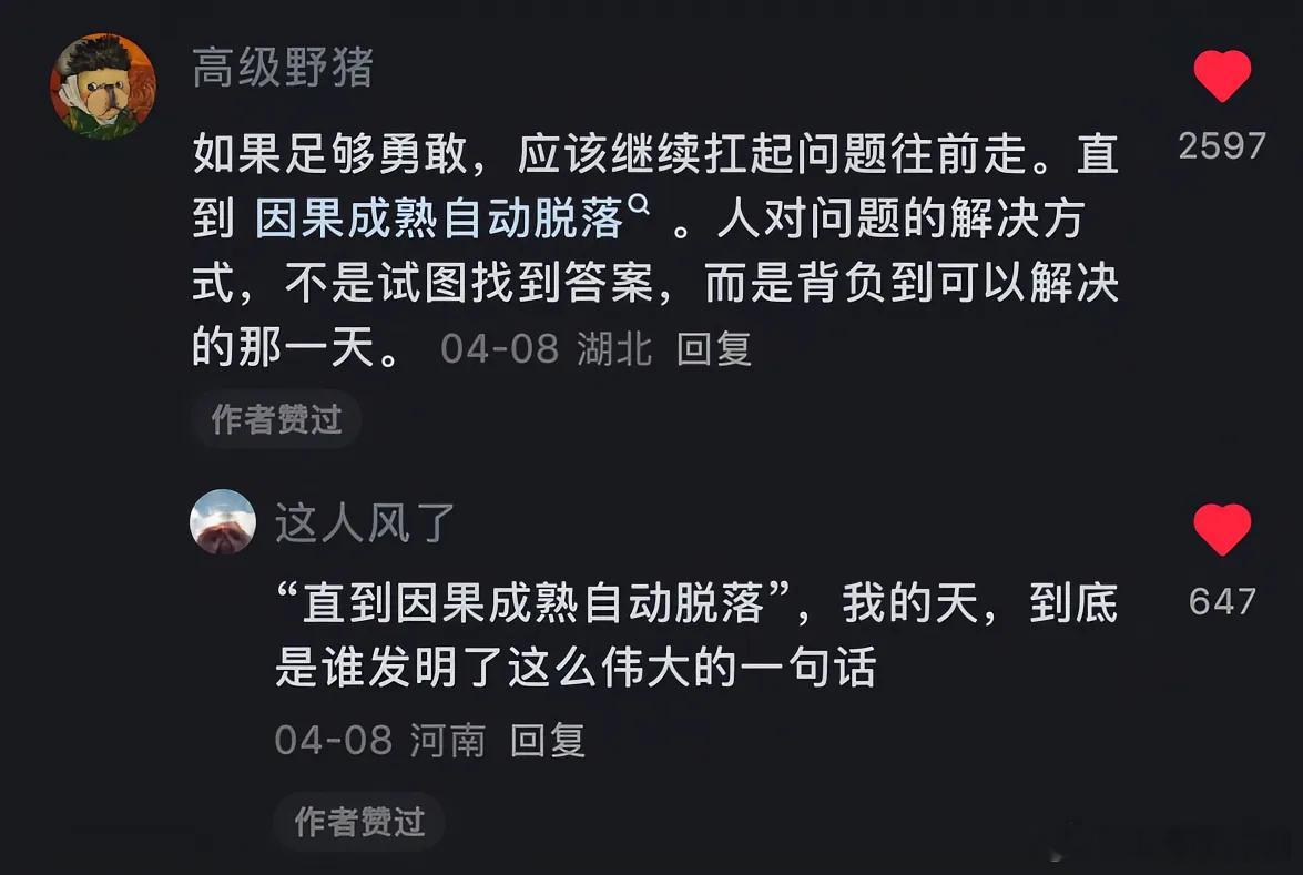 如果足够勇敢，应该继续扛起问题往前走，直到因果成熟自动脱落。 ​​​