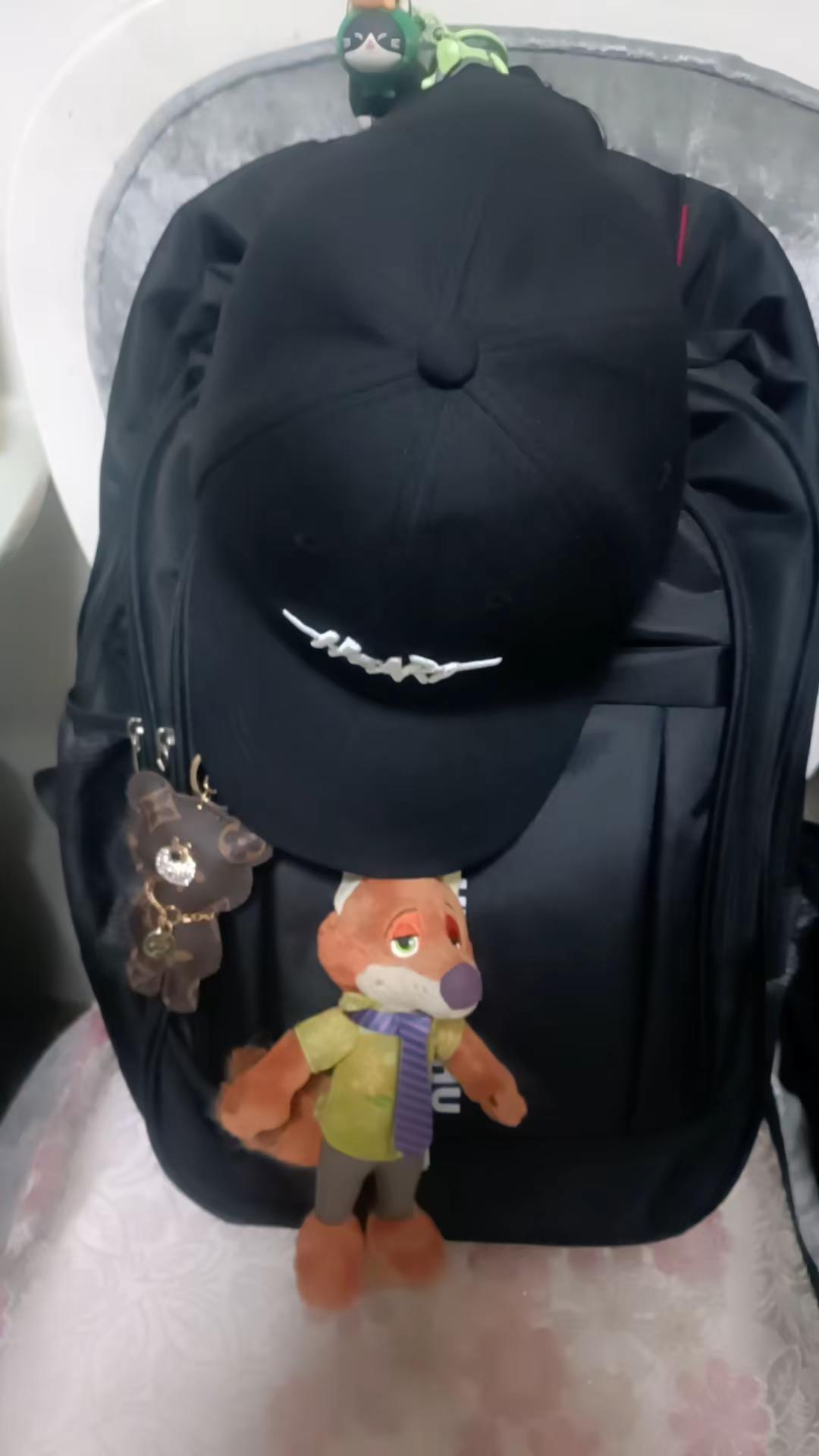 我的出门装备。尼克狐尼克