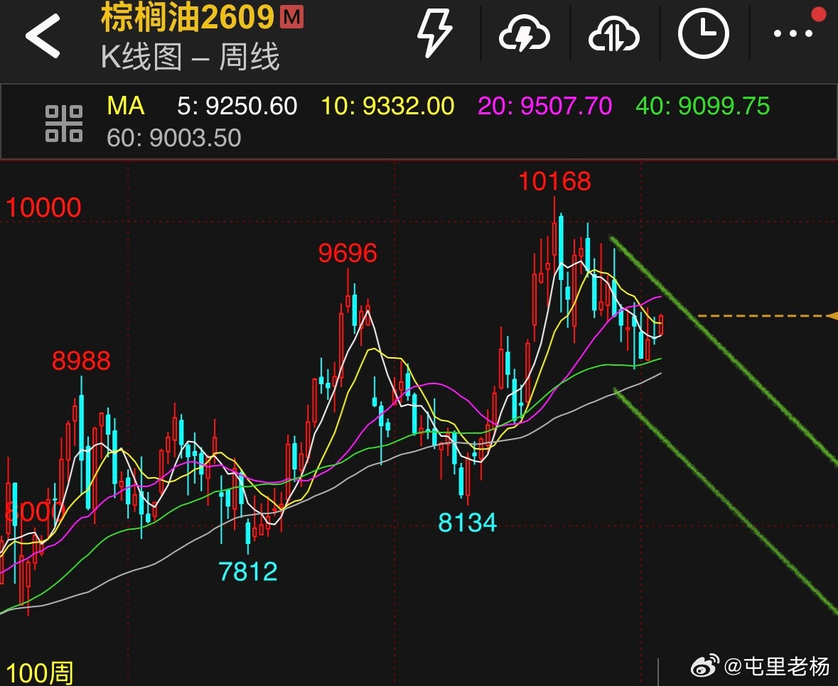 棕榈，没有继续走上坡的机会，短期震荡试探后冲高9400还是可继续考虑进了，还是保