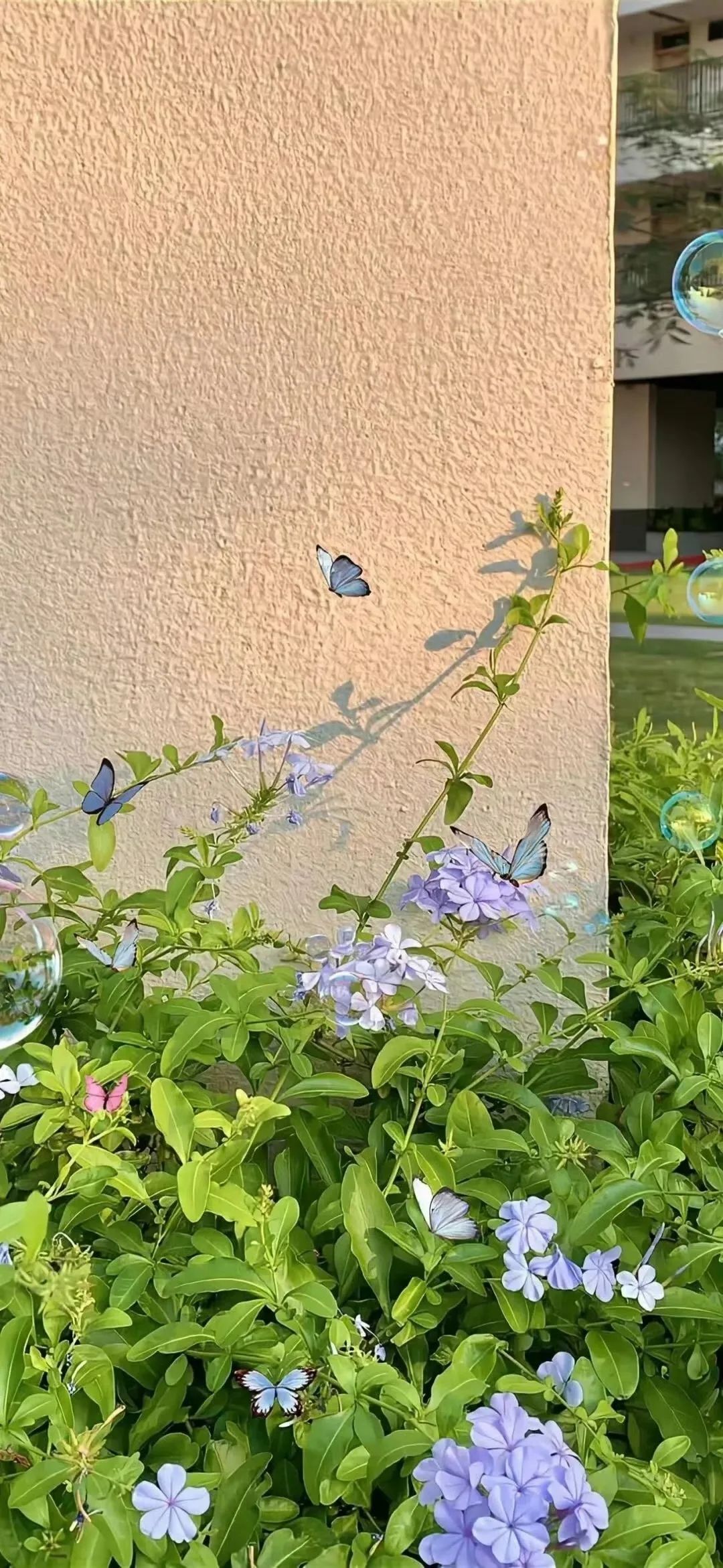 心怀温柔，步步向前，未来自有答案。 