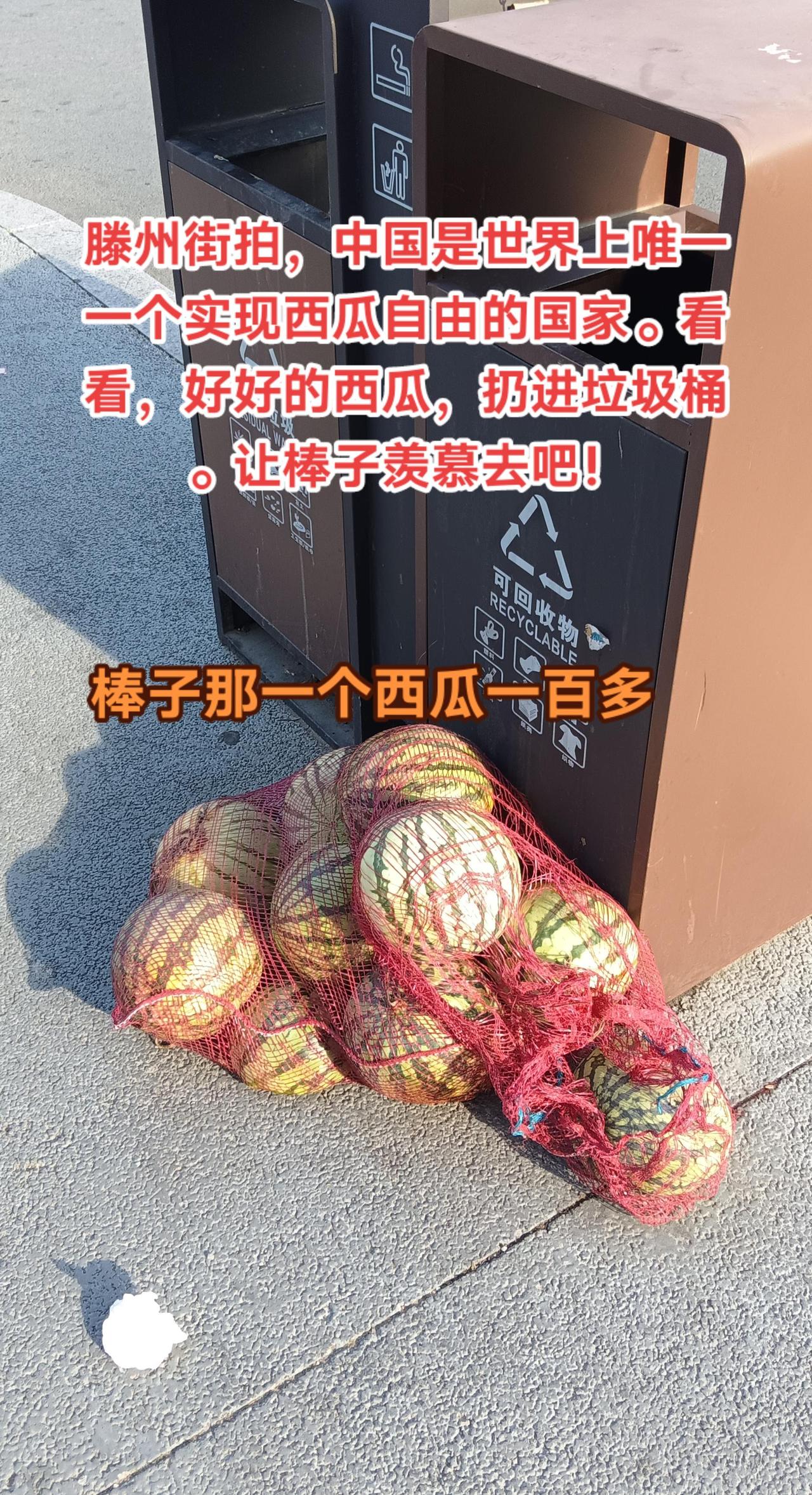 中国是世界上唯一一个西瓜自由的国家。今天，尽管天气太热，预报高温，西瓜还是很便宜
