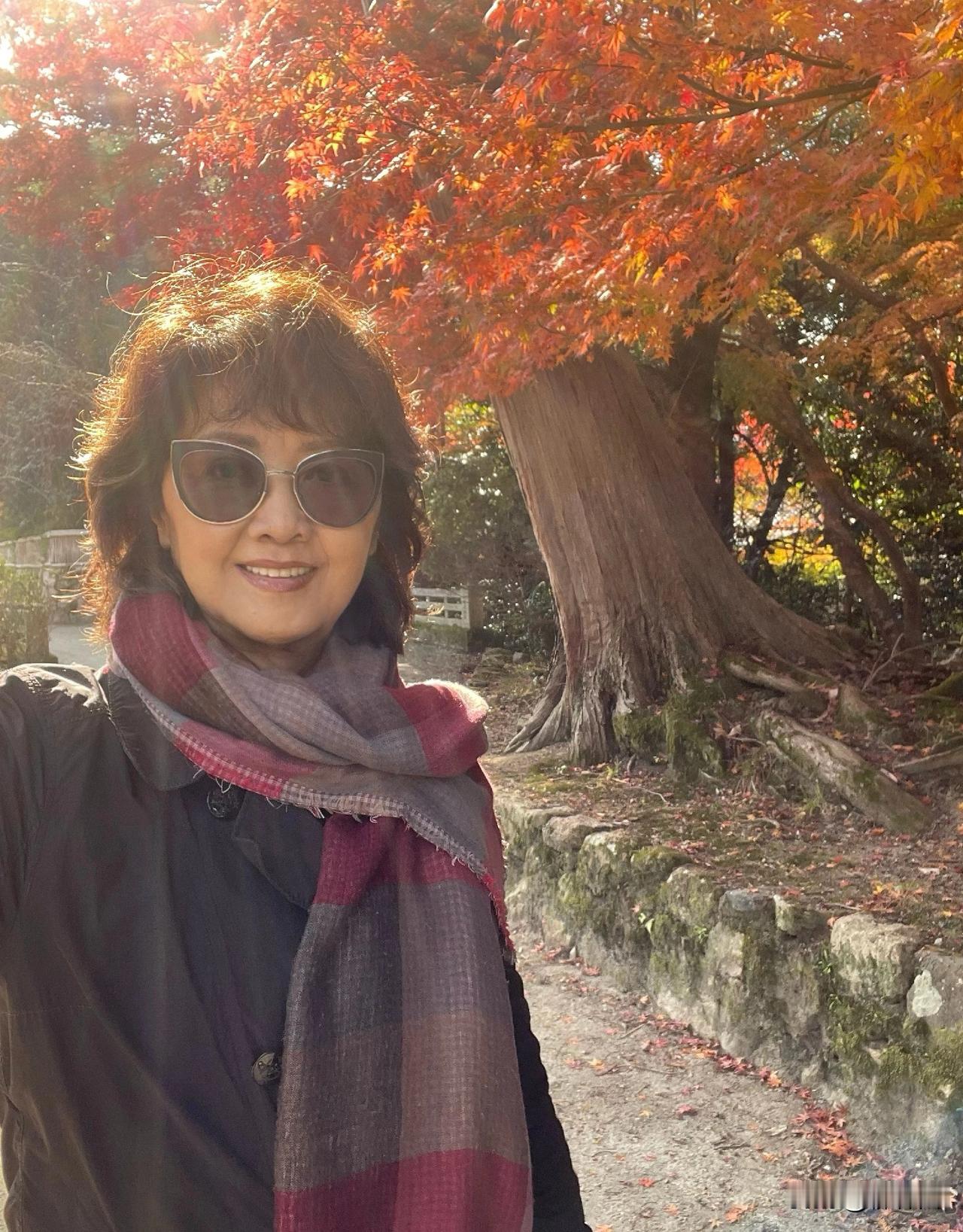 73岁朱琳不烫大妈头，不穿老年装，即使步入老年，也依然保持着优雅的风采。

虽然