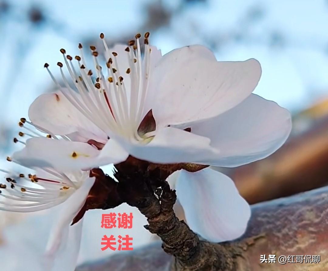 常建仕途失意（进士及第仅任盱眙尉），厌倦官场喧嚣，漫游山水求心灵安宁。破山寺禅院