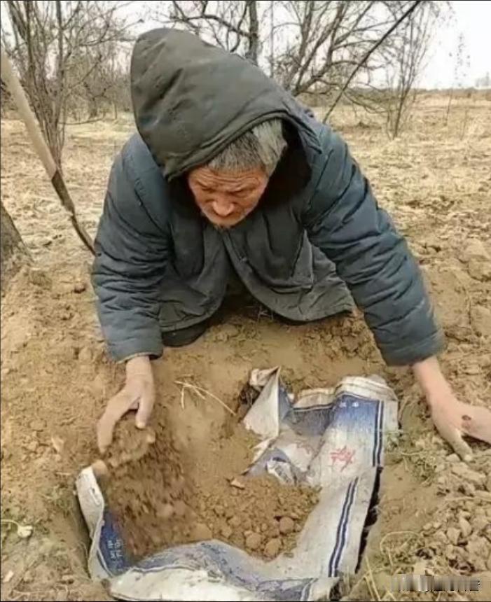 老人突然病逝。两个儿子埋葬了老人之后，正要离开时，却发现家里的老狗一直在挖老人坟