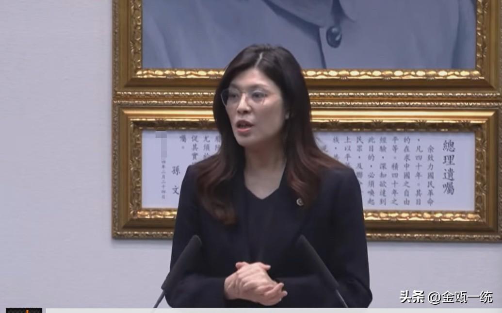 郑丽文喊“台湾不选边站”  仍遭绿营批评

国民党主席郑丽文3日投书国际刊物指称