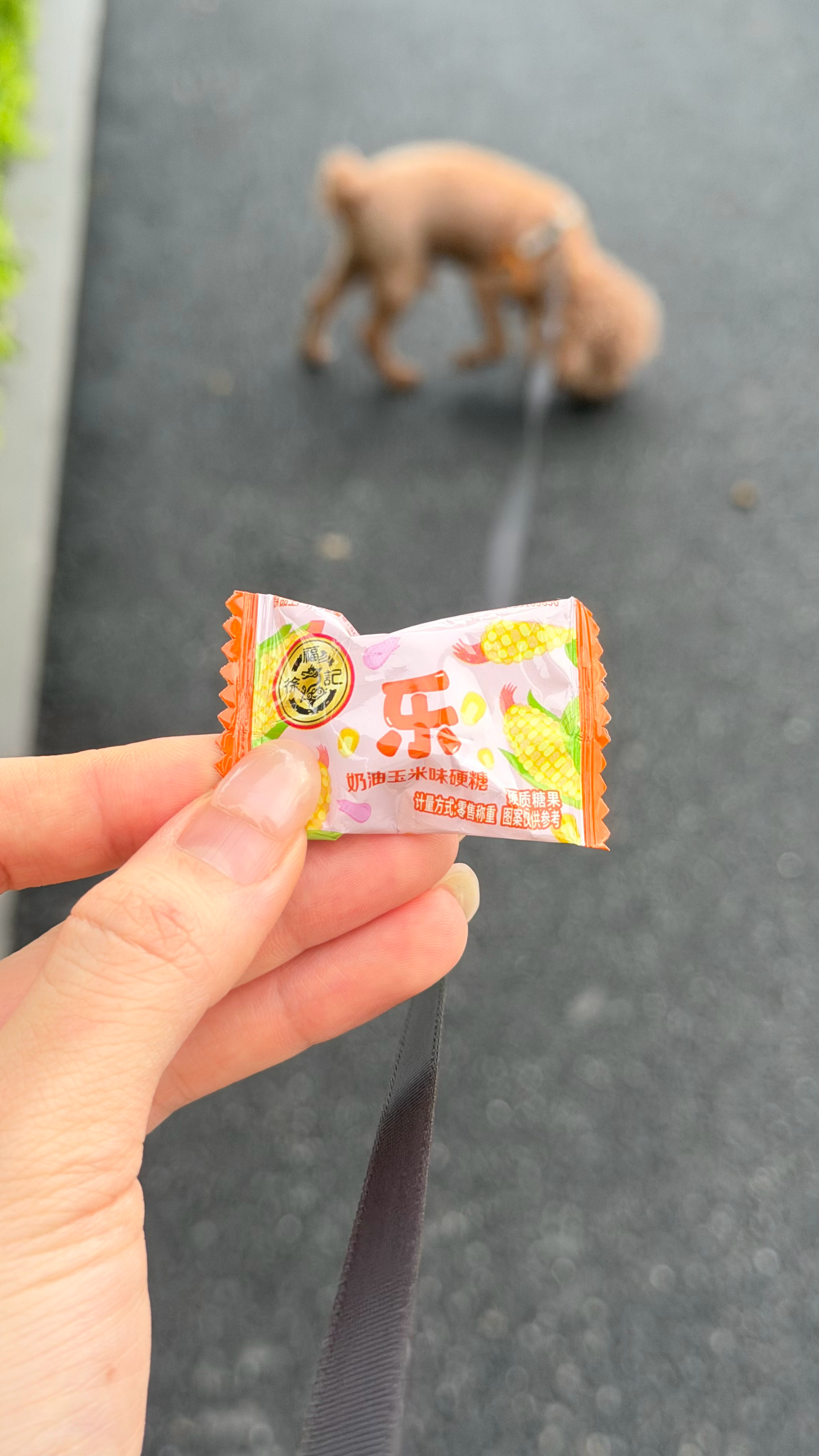 玉米味的糖真的太好吃了