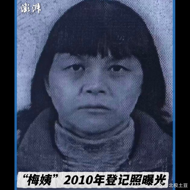 😱梅姨的证件照一曝光，很多人第一反应是：这跟当年那张画像差太多了吧。确实，这名