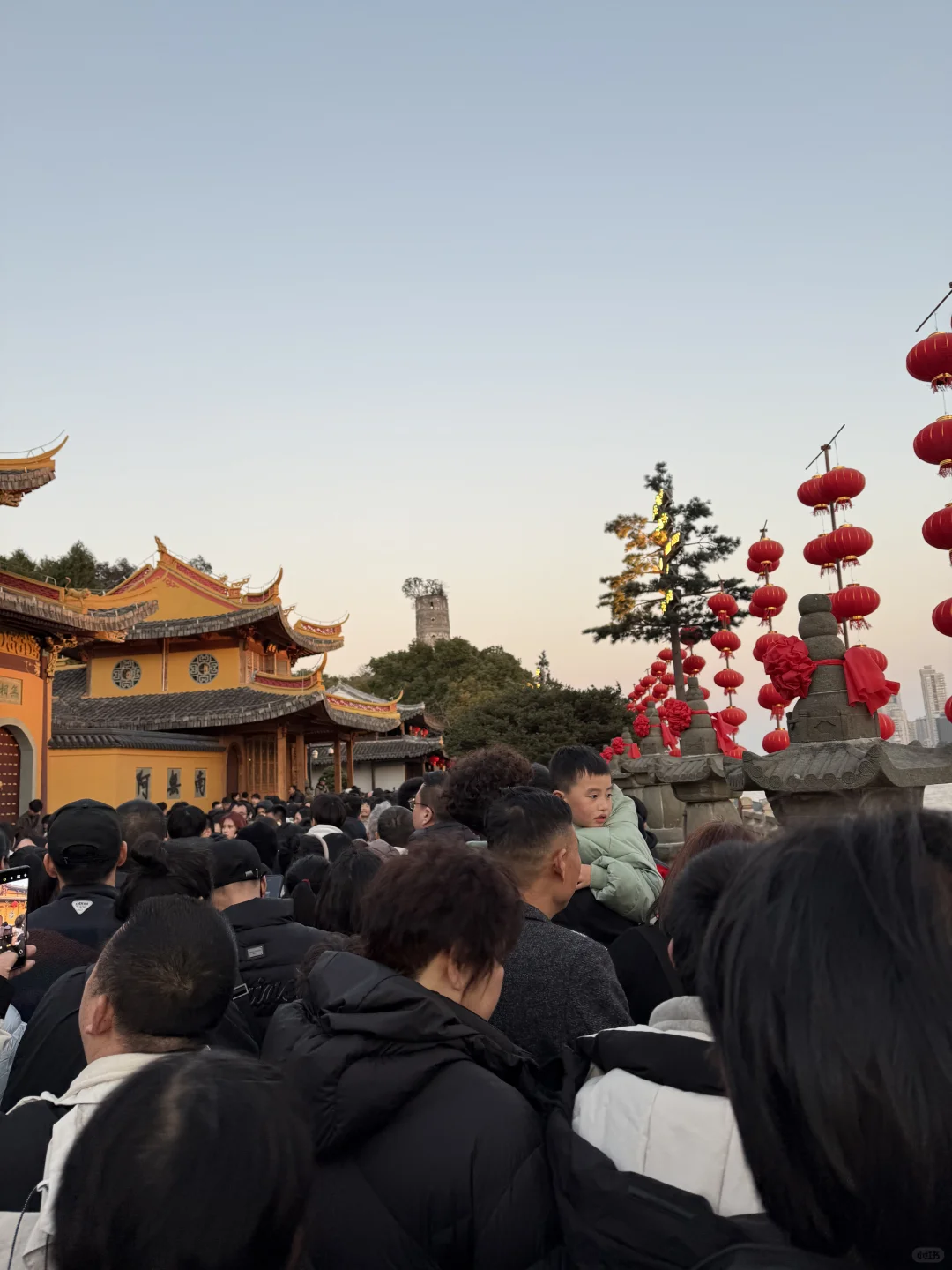 温州江心屿现状