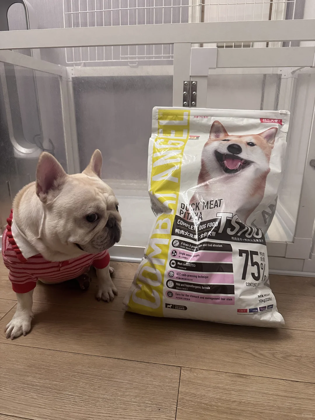 天天吃战斗天使的奶糖有什么烦恼呢哈哈