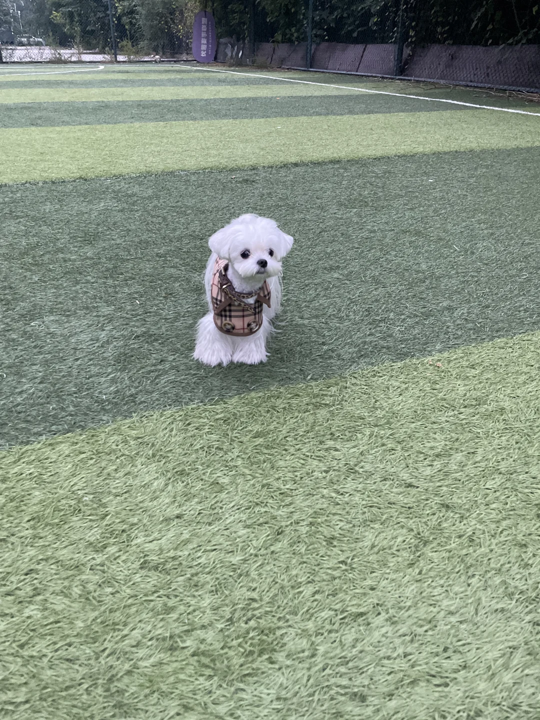 谈恋爱你早说啊 我育都绝了