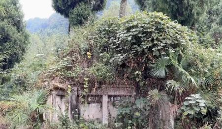 中国土葬几千年，埋了三百亿人，为啥现在看不到古坟？据专家推算，地球上总共出现过大