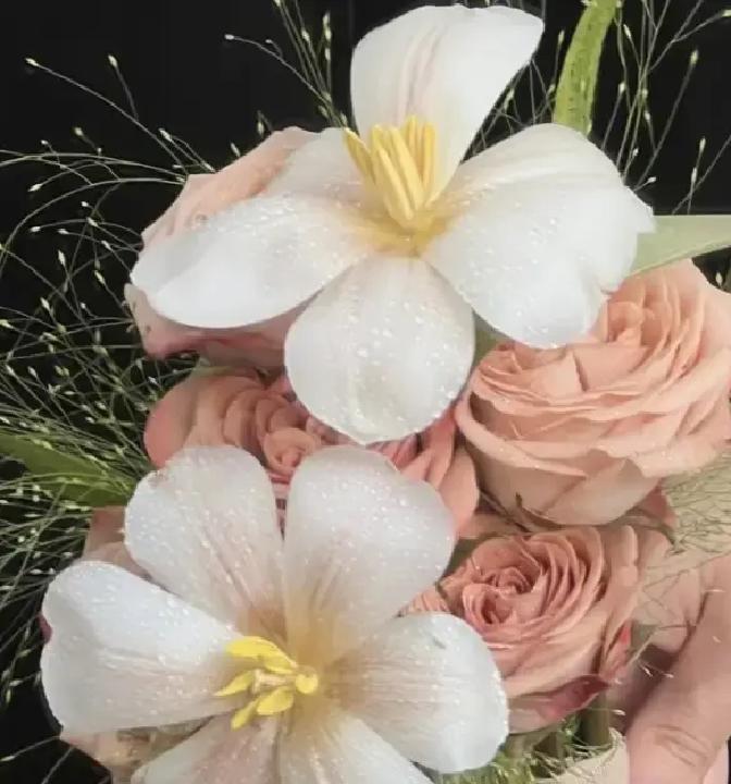 林溪情人节想和老公吃顿饭，对方一句“你又不是小姑娘了，过什么节”把她怼回厨房，还