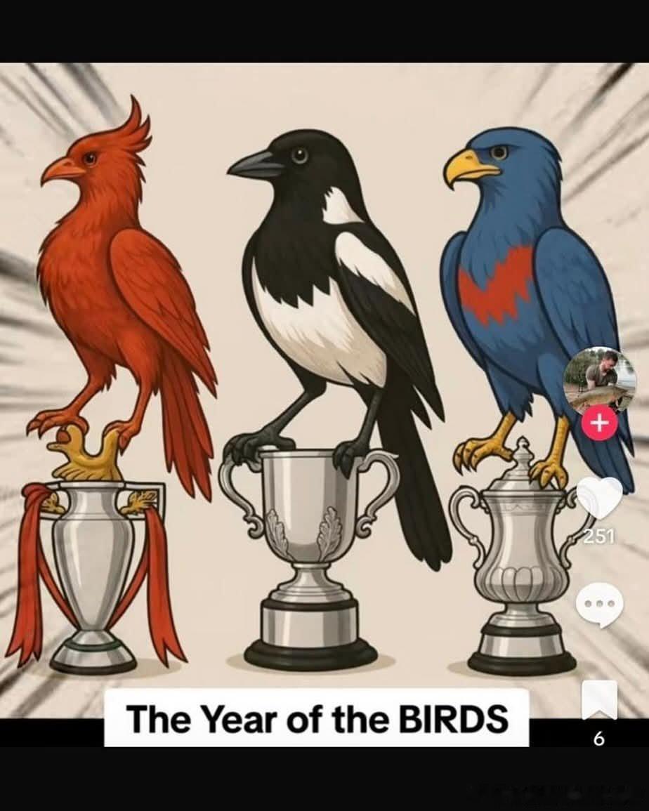 【今年是鸟年】球迷发现今年拿冠军的英超球队，都和鸟有关系[思考]🔴英超冠军：利