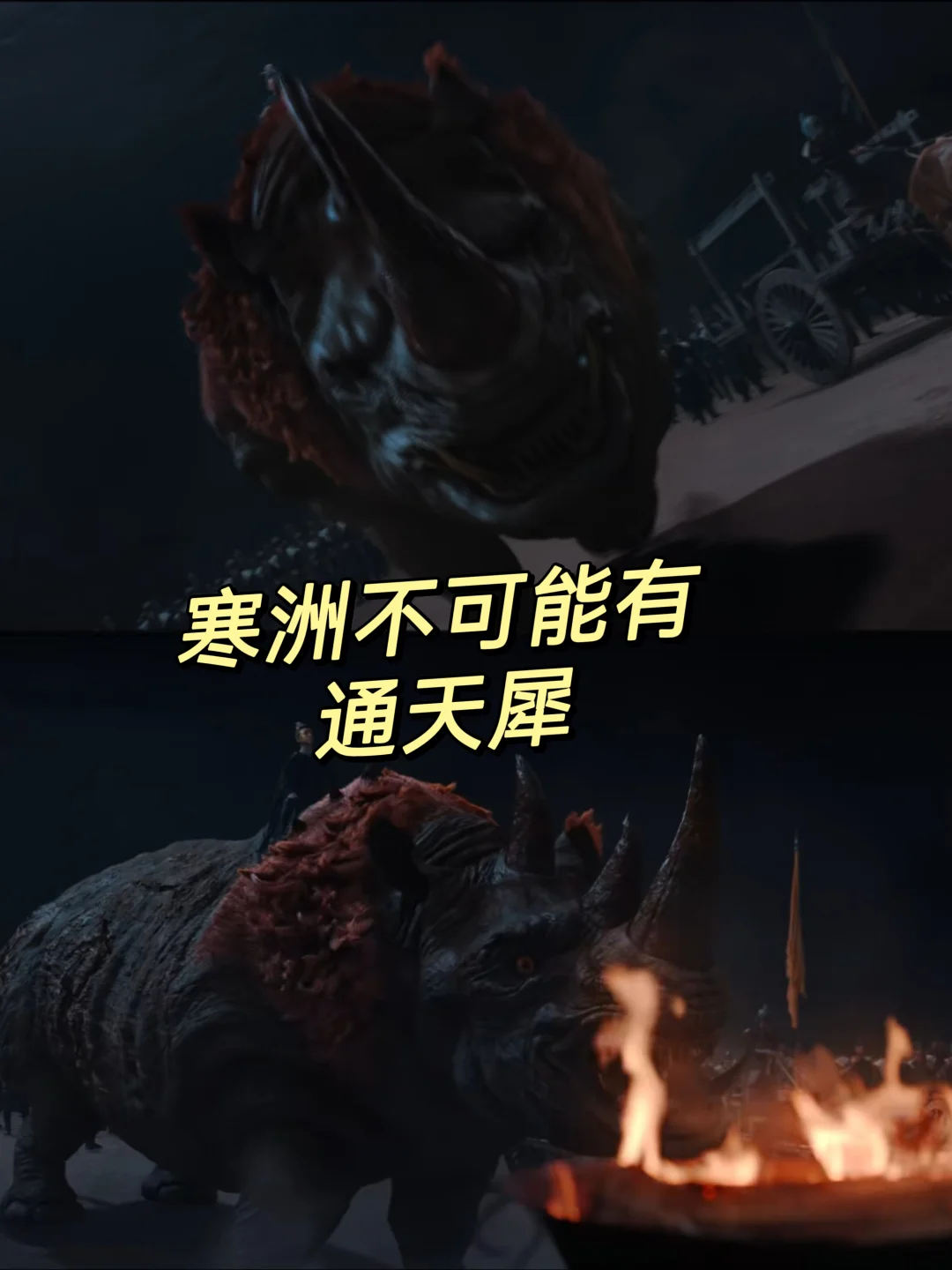匪夷所思‼️寒洲不可能有通天犀🦏