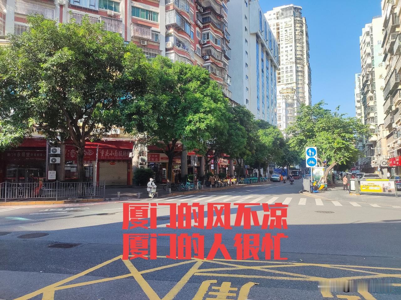 厦门的风不凉，厦门的巷子很长。第一次来厦门，楼很高，树很绿，人很勤奋。厦门的楼缜