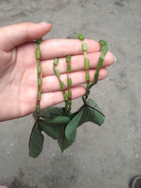 小时候玩过这个的请举手，还记得它当时叫什么吗？ ​​​