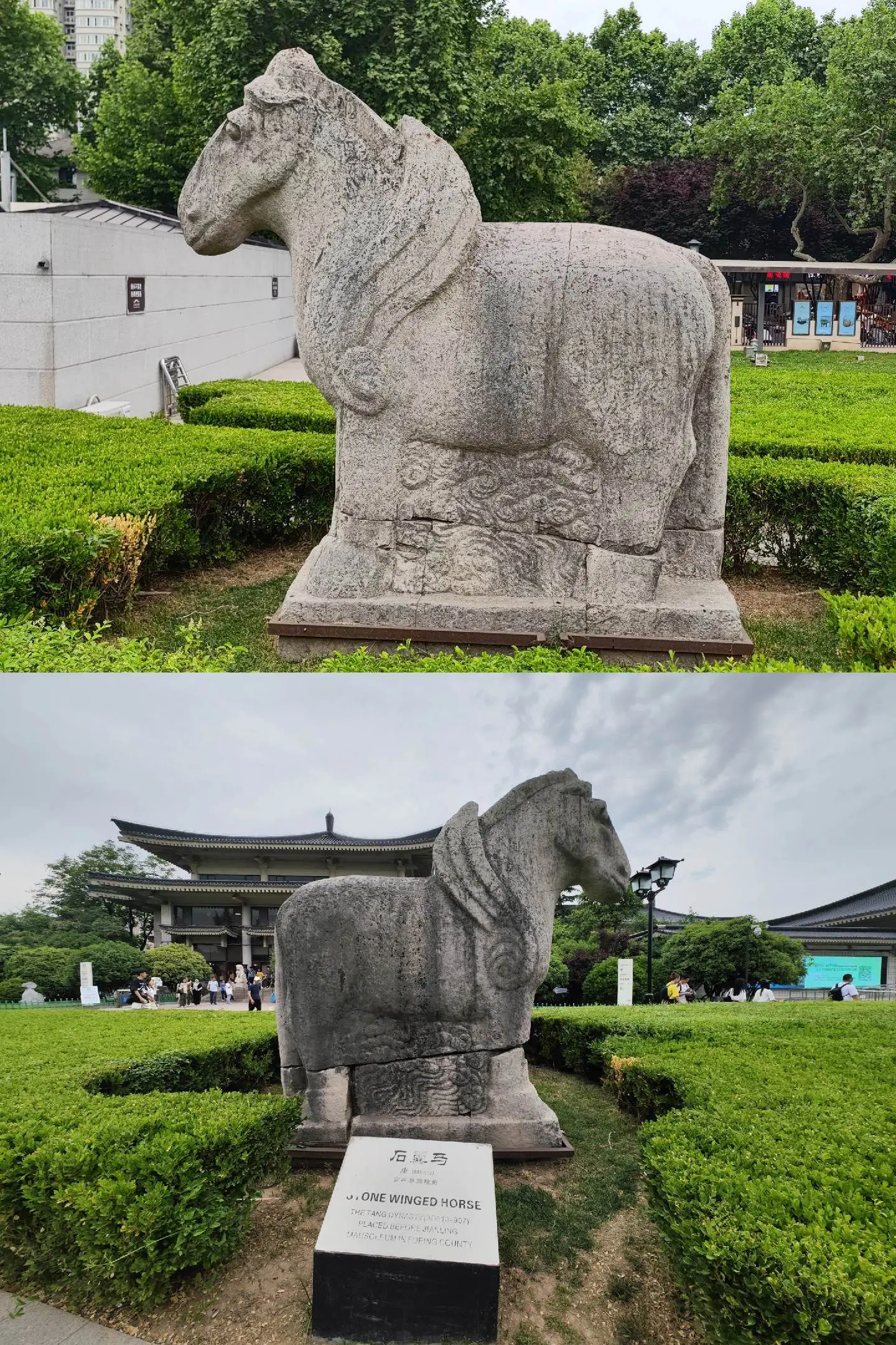 唐简陵翼马。位于陕历博门口的这一对国宝级文物是大多数游客常常所忽略的，这就是大唐第十七座帝陵——唐懿宗李漼简陵神道两旁的翼马，1991年因文物保护需要，被迁至陕历博门口。33年来看尽城市的喧嚣、车水马龙，是唐十八陵中唯一一对进城的翼马。简陵翼马雕刻粗疏，线条笔画简略，四肢粗短，比例不太协调。此时大唐帝国江河日下，石刻已不复往日神韵，似乎有型无神。