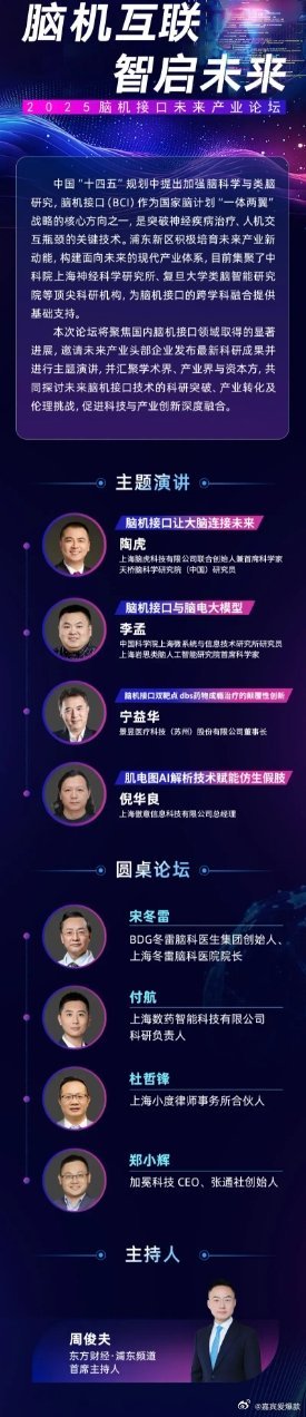 在上海举办2025脑机接口未来产业论坛，岩山科技分公司岩芯智脑备受瞩目，其代表中
