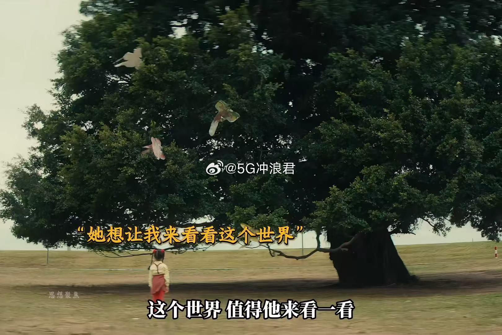 原来亲眼看到妈妈一生是这种感觉 我妈以前也追星，那个男人是费翔。原来妈妈也有过少