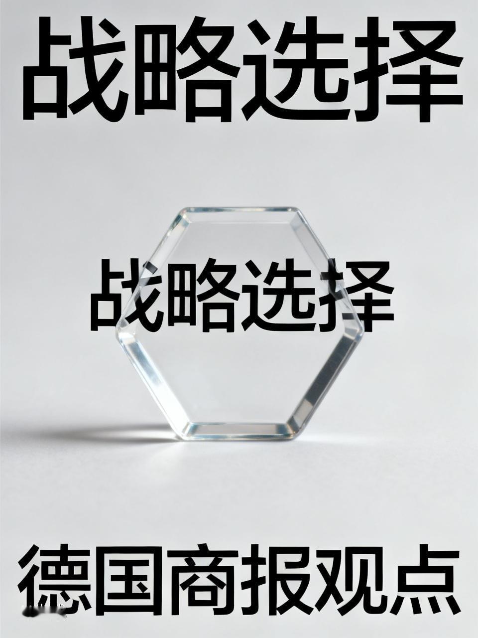 德国商报认为中国当下面临两个道路选择。其一是，收复台湾。其二是，进一步进行内部改