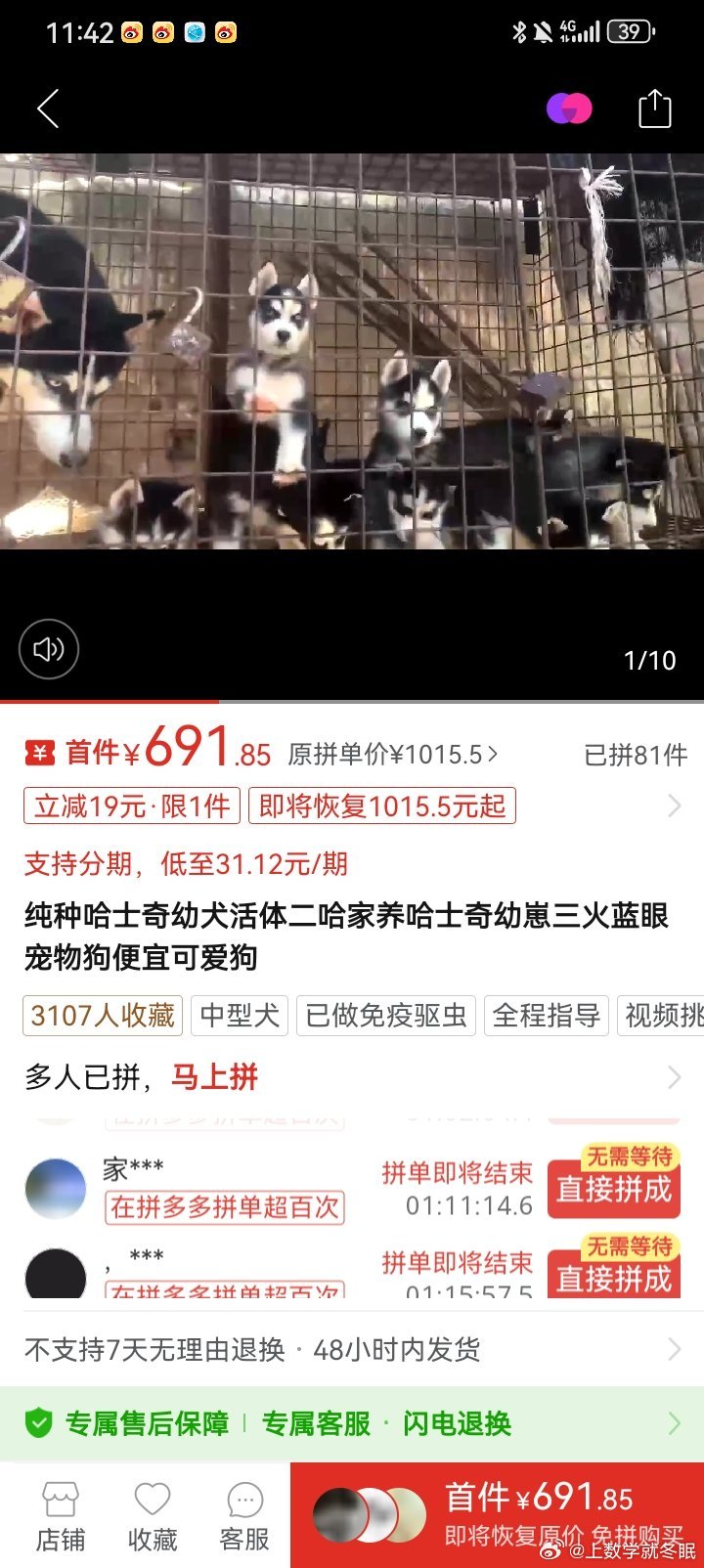 拼多多里面的狗可以买吗好可爱呀，做梦都想要两只哈士奇[便便] ​​​