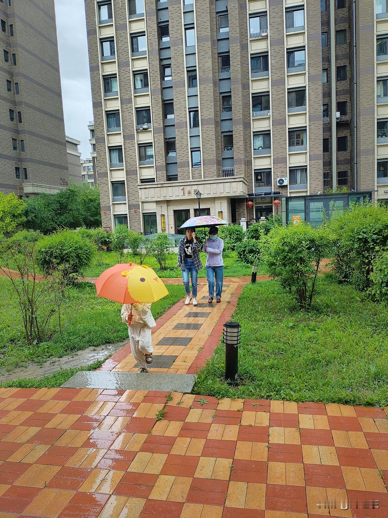 雨中吟
细雨霏霏李杏华，
燕语莺声伴娇娃。
缓移华盖何处去？
请续句……
（缝隙