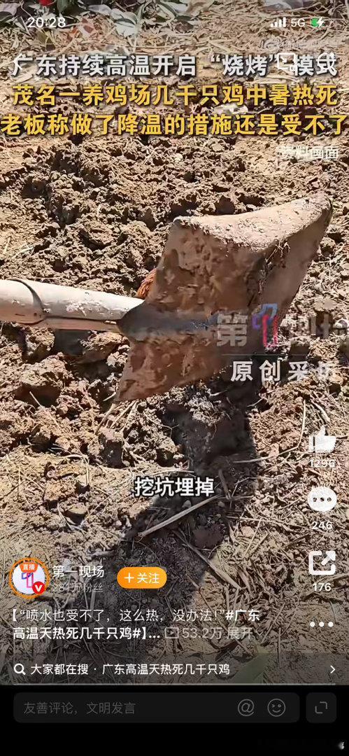 广东高温天热死几千只鸡“几千只鸡被热死…喷水都扛不住的高温，鸡都没法‘熬’了，人