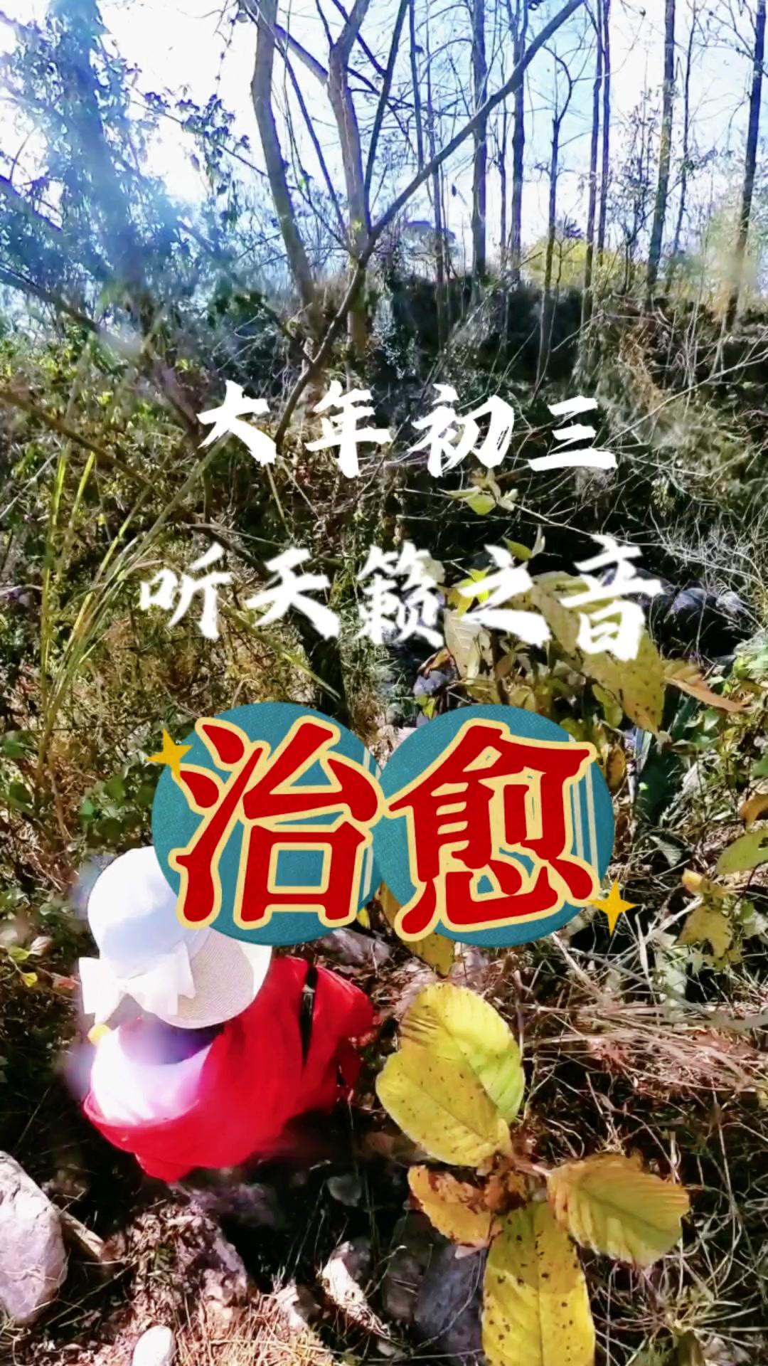 💦大年初三，带家人走进大理苍山溪坡的任意一条溪流，这里没有花哨的装饰，没有精心