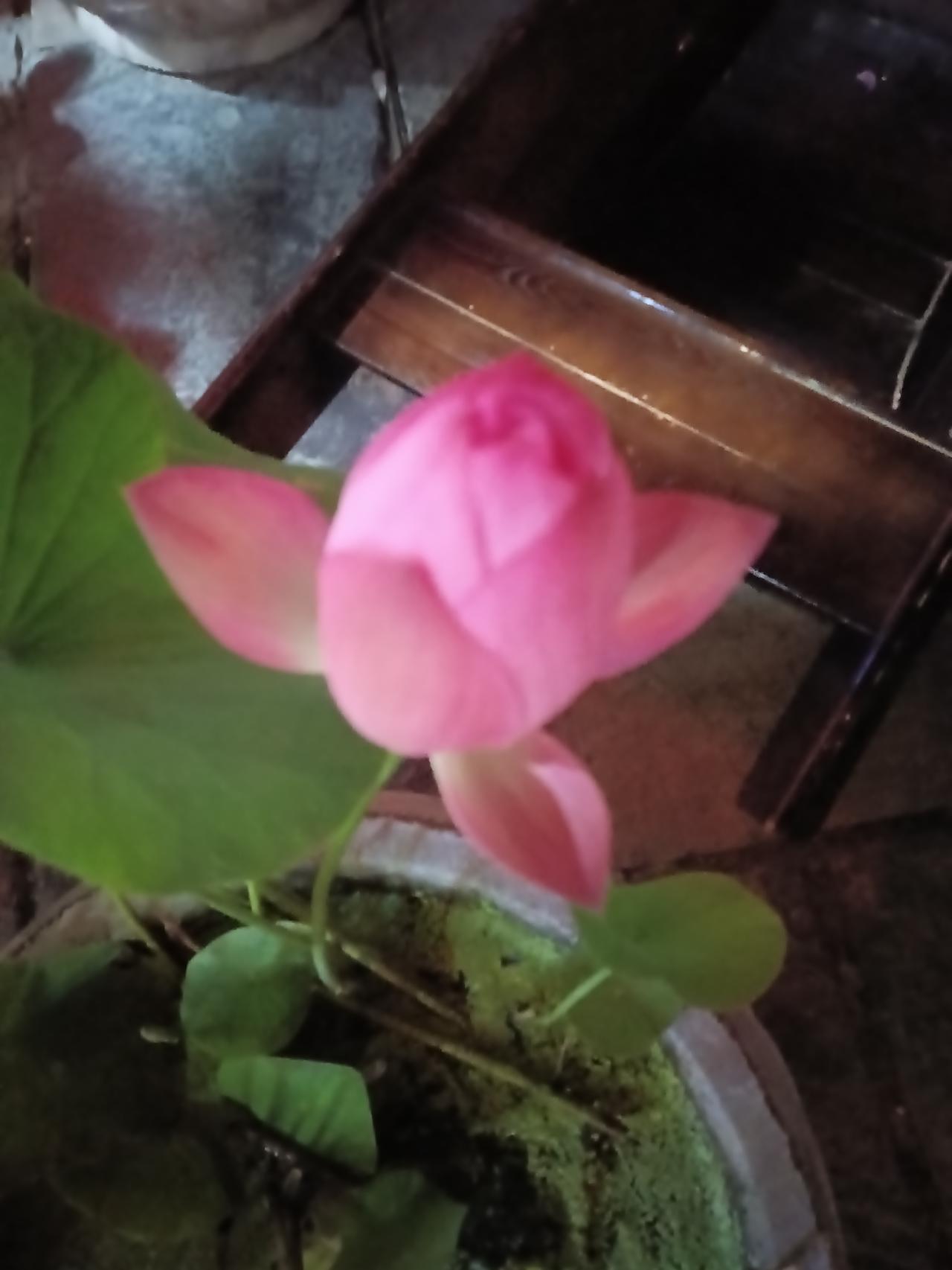晒图笔记大赛
