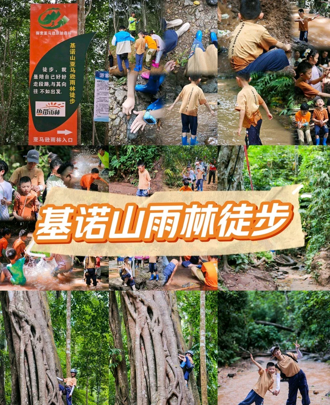 西双版纳必去榜——【基诺山雨林徒步】