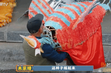 张远扮凤凰个子太高找谁说理哈哈，张远这身高挑战灵巧舞蹈，简直是“自讨苦吃”，但好