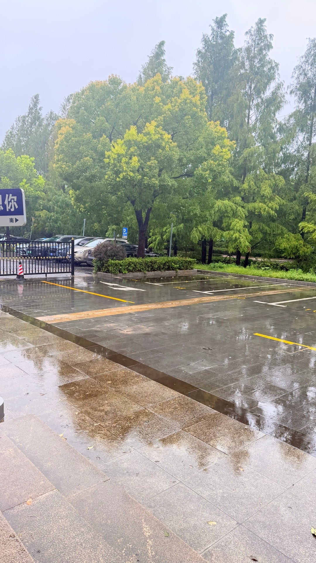 三天了，还在下雨。 