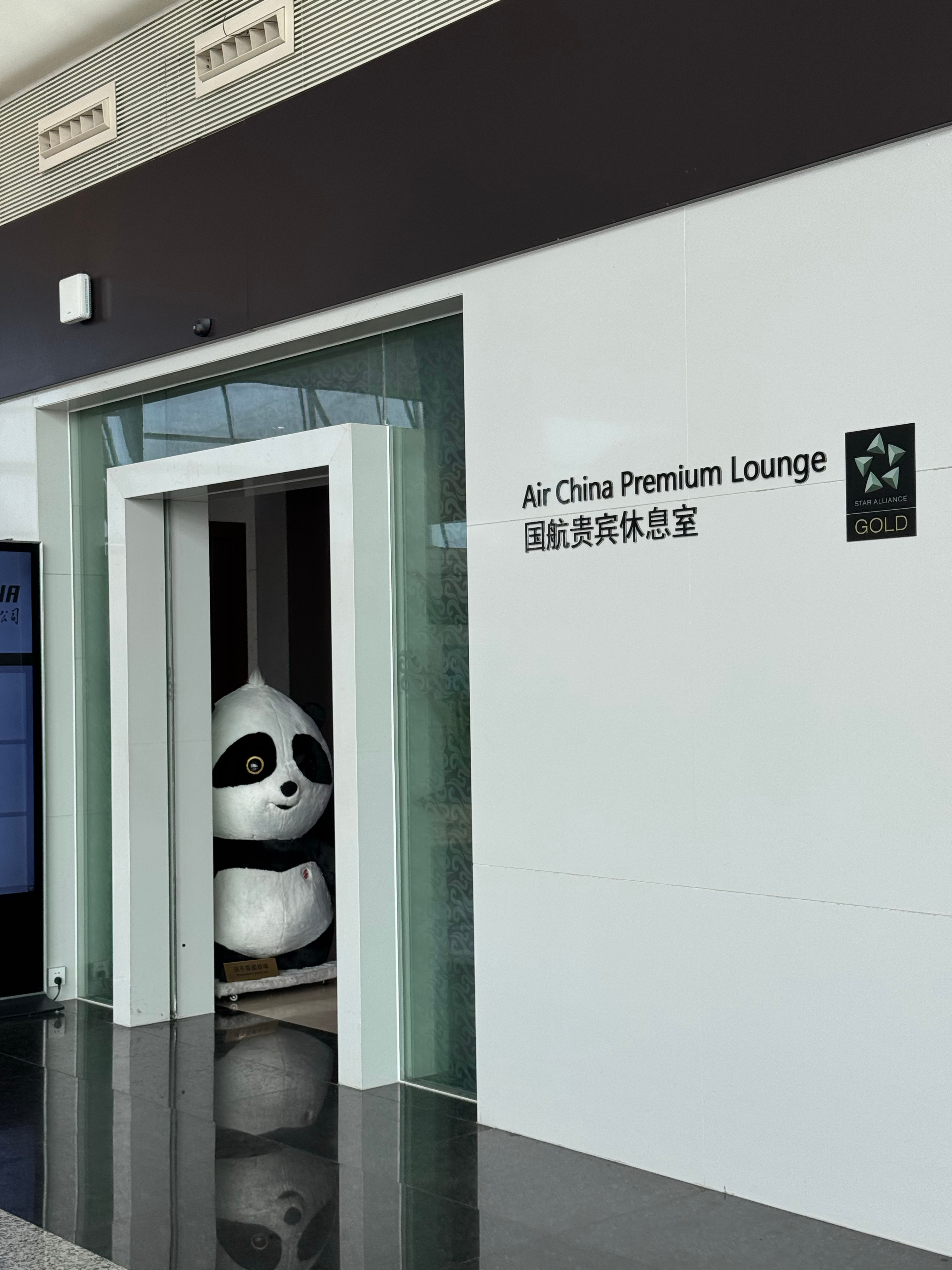 国航这大熊猫胖安达，多少带着点个人情绪在上班[doge][doge][doge]