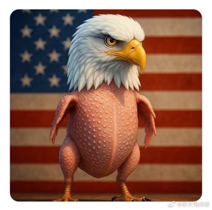 美帝与伊朗交火2周后，现状。 